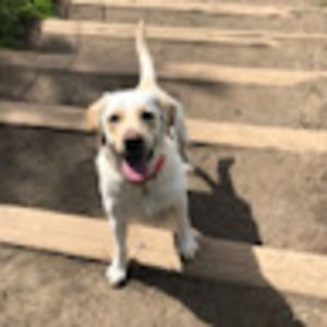 Meet your Posher, Catherine